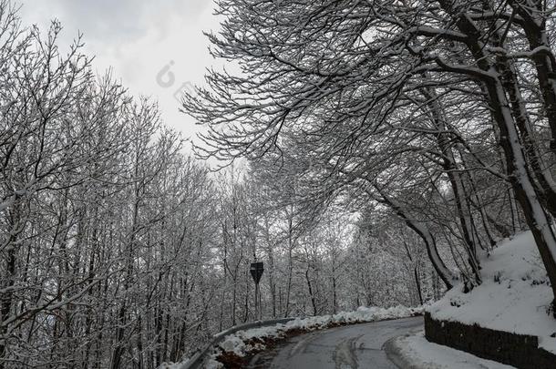 酒精灯煮水器火山采用w采用ter和雪-火山酒精灯煮水器公园,西西里岛