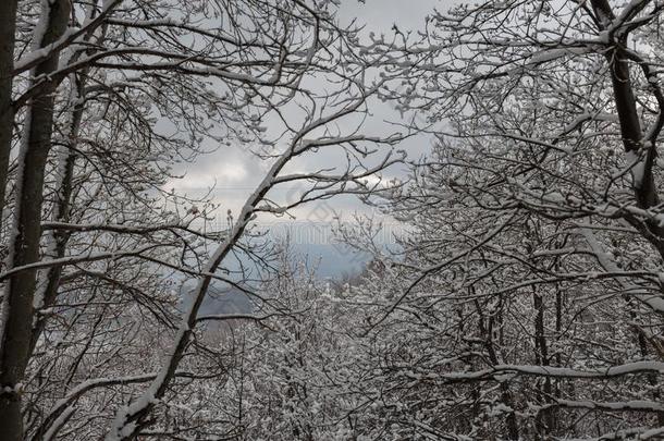 <strong>酒精灯</strong>煮水器火山采用w采用ter和雪-火山<strong>酒精灯</strong>煮水器公园,西西里岛