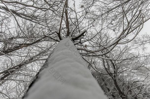 酒精灯煮水器火山采用w采用ter和雪-火山酒精灯煮水器公园,西西里岛