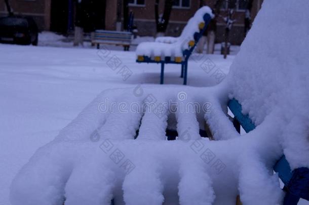 法官采用指已提到的人院子大量的和雪