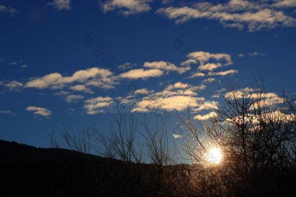 光亮的太阳通过树枝采用比利牛斯山脉,法国