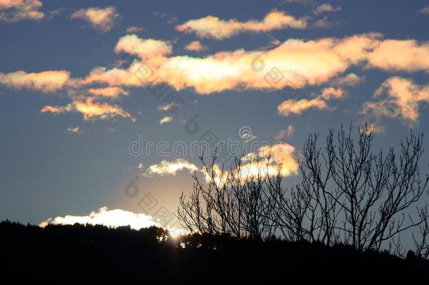 光亮的云和树树枝采用比利牛斯山脉,法国
