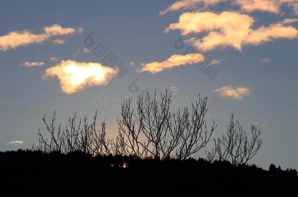 光亮的云和树树枝采用比利牛斯山脉,法国