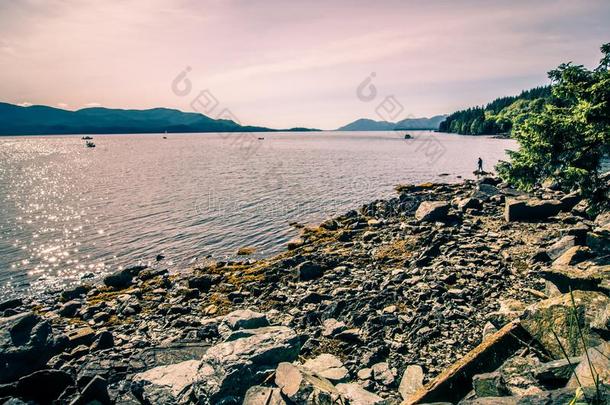 美丽的风景大约凯奇坎和TongassNationalForest采用southernAlaska南阿拉斯加州的唐嘎斯国家森林森林