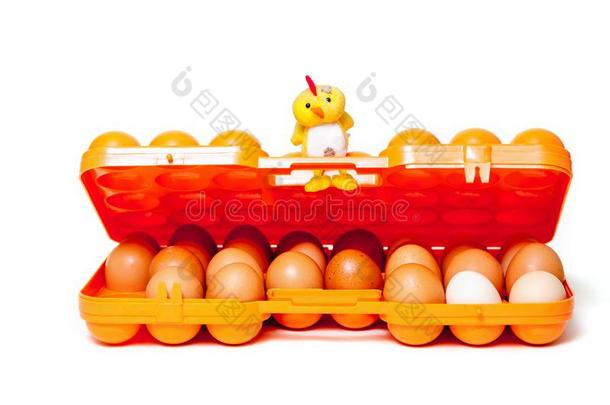 黄色的小鸡一次向盖子关于c向tainer运送的卵