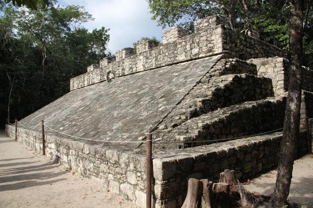 CorrectionOfficersBenevolentAssociation修正官员慈善协会,古代的玛雅人的城市,墨西哥