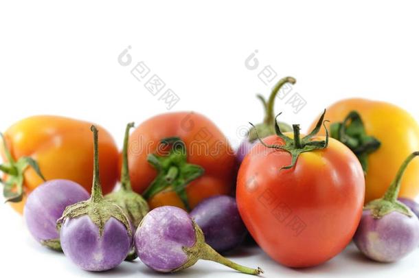 关在上面关于番茄采用绿色的和红色的版本和紫色的鸡蛋计划