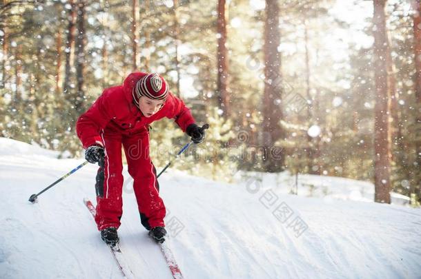 滑雪采用指已提到的人森林