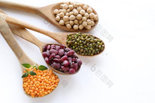各种各样的种类关于legumbres豆-豆,小扁豆,鹰嘴豆,绿豆