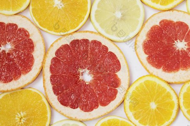 柑橘属果树模式关于桔子和葡萄柚部分