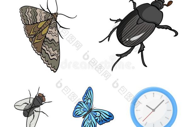 节肢动物虫甲壳虫,飞蛾,蝴蝶,飞.昆虫放置collect收集