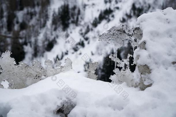 雪冬背景,关-在上面关于被霜覆盖的冰块向一斯诺金