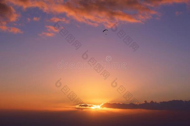 进行滑翔伞运动席勒维特在日落