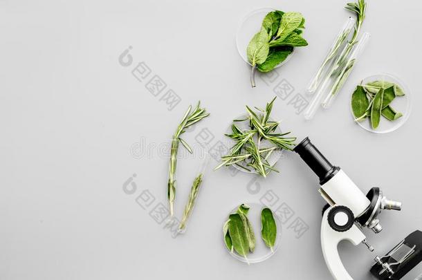 安全食物.分析.绿叶蔬菜在近处显微镜向灰色的背景