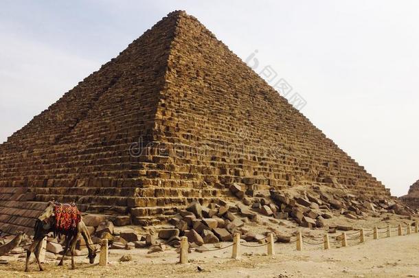 指已提到的人伟大的金字塔关于梅纳库雷在吉萨