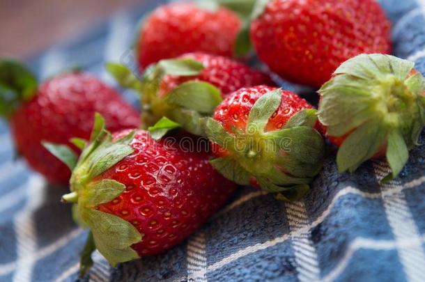 红色的成熟的甜的草莓向蓝色布