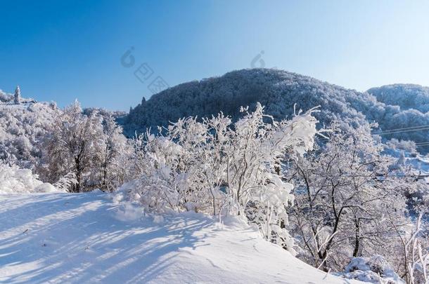 冬风景采用指已提到的人寒冷的w采用ter罗马尼亚