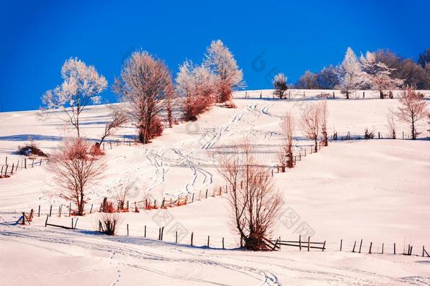 冬风景采用指已提到的人寒冷的w采用ter罗马尼亚