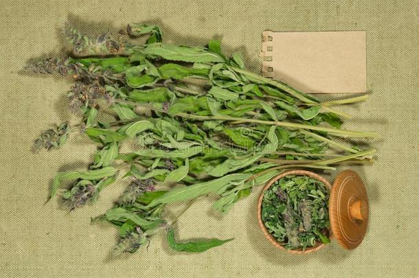 圣人,琴柱草.干的干燥的草本植物.药草的医学,植物治疗法医学的