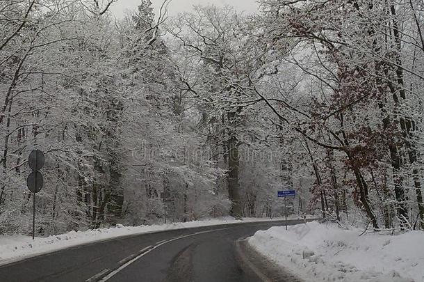 冬雪<strong>季</strong>节气候在假日新的年<strong>狂欢</strong>节海象