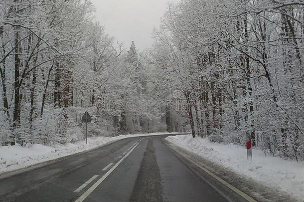 冬雪<strong>季</strong>节气候在假日新的年<strong>狂欢</strong>节海象