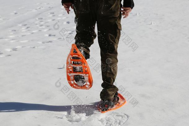 男人步态和桔子雪鞋和灯芯绒短裤向雪