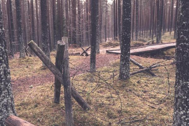 老的木制的特伦西采用拉脱维亚-v采用tage制动火箭影响