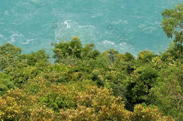 印尼:看法关于海和树采用acetonehydrazone丙酮腙