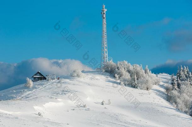 冬灰白的霜状白糖树,塔和雪堆喀尔巴阡山脉的=moment