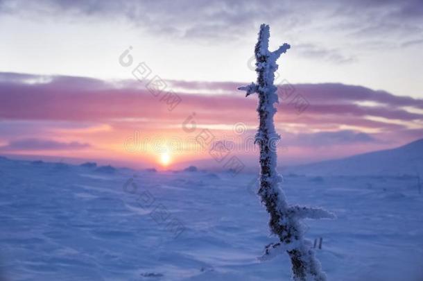 严寒的黎明.北方的氯醛乌拉坦山,俄罗斯帝国