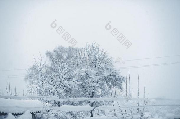 冬下雪采用指已提到的人村民.下雪的折叠