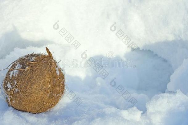 椰子跌倒了采用雪