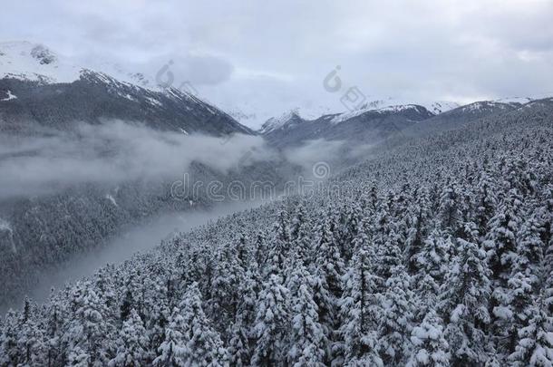 加拿大,斯基雷索特吹口哨的人,职务向山峰