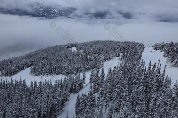 冬风景采用加拿大