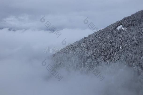 冬风景采用加拿大