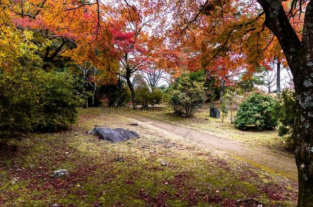 风<strong>景影</strong>像关于阿拉山山公园在京都黑色亮漆