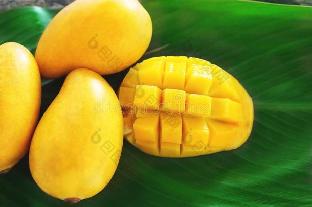 成熟的芒果将切开采用正方形和别的黄色的芒果es向一绿色的lease租约