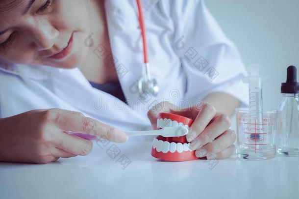牙科医生诊断牙模型补齿和牙刷,牙齿的hygiene卫生