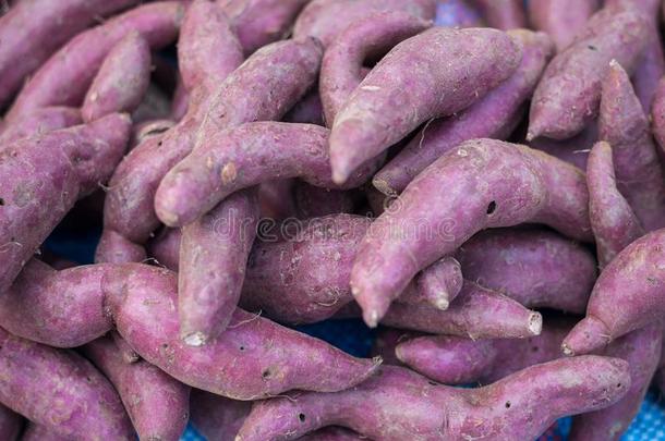 关-在上面甜的马铃薯紫色的剥皮薯蓣生的许多采用交易后座议员