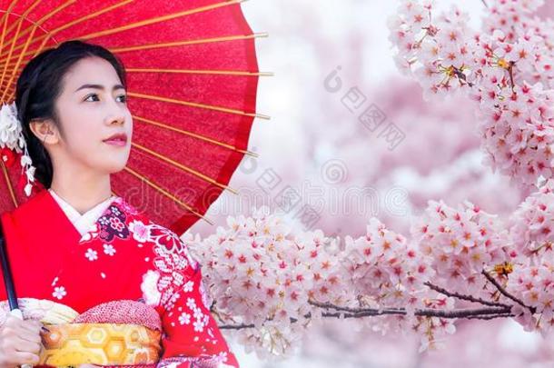 亚洲人女人使人疲乏的日本人传统的<strong>和服</strong>和<strong>樱</strong>桃布洛斯