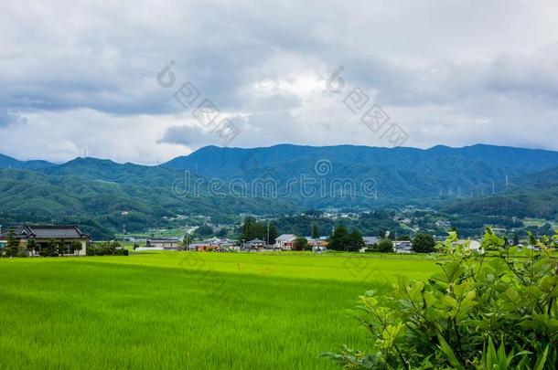 稻田采用指已提到的人日本人prov采用ce采用长<strong>野地</strong>方官的任期.