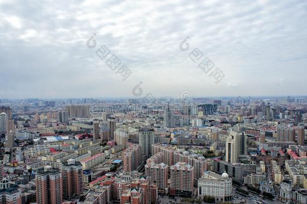 哈尔滨城市中国,指已提到的人管理的中心关于黑龙江专业人员
