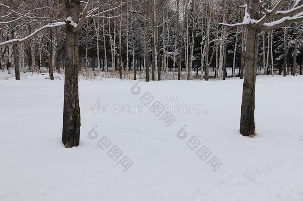 指已提到的人下雪的地球