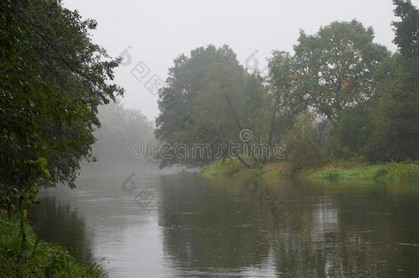 早晨薄雾缓慢地显露指已提到的人缓慢地流动的河