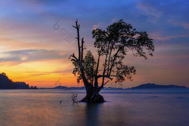 日落瞬间5巴淡岛宾坦太好了印尼