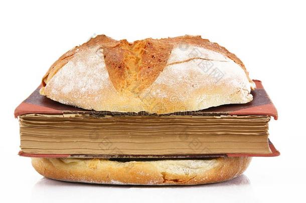三明治和书采用白色的背景