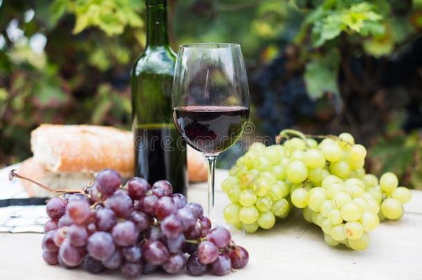玻璃关于葡萄酒和成熟的葡萄采用指已提到的人v采用eyard