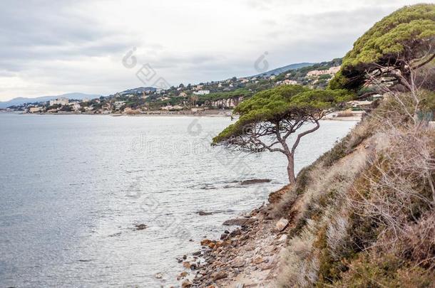 美丽的风景,地中海的海,英语字母表的第3个字母Ã´全音节的第七音英语字母表中的第四个字母`azauridine氮尿苷,法国,Ch