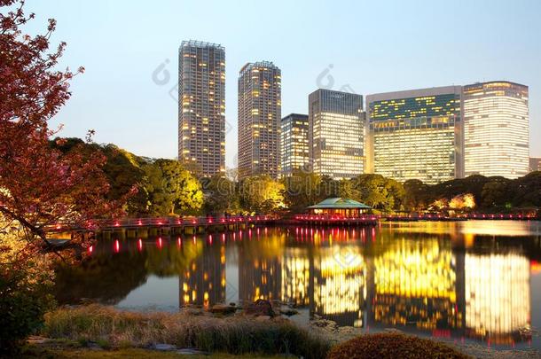 哈马里克尤公众的园在东京