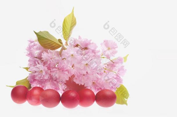 线条关于红色的卵和光粉红色的樱桃花束